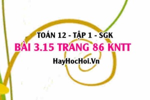 Bài 3.15 trang 86 Toán 12 tập 1 Kết nối tri thức